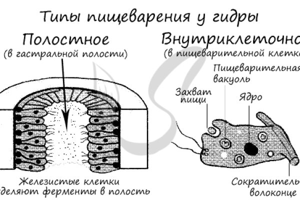 Кракен тор krakens13 at